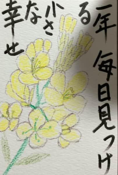 一年毎日見つける小さな幸せ 〜菜の花の絵手紙〜