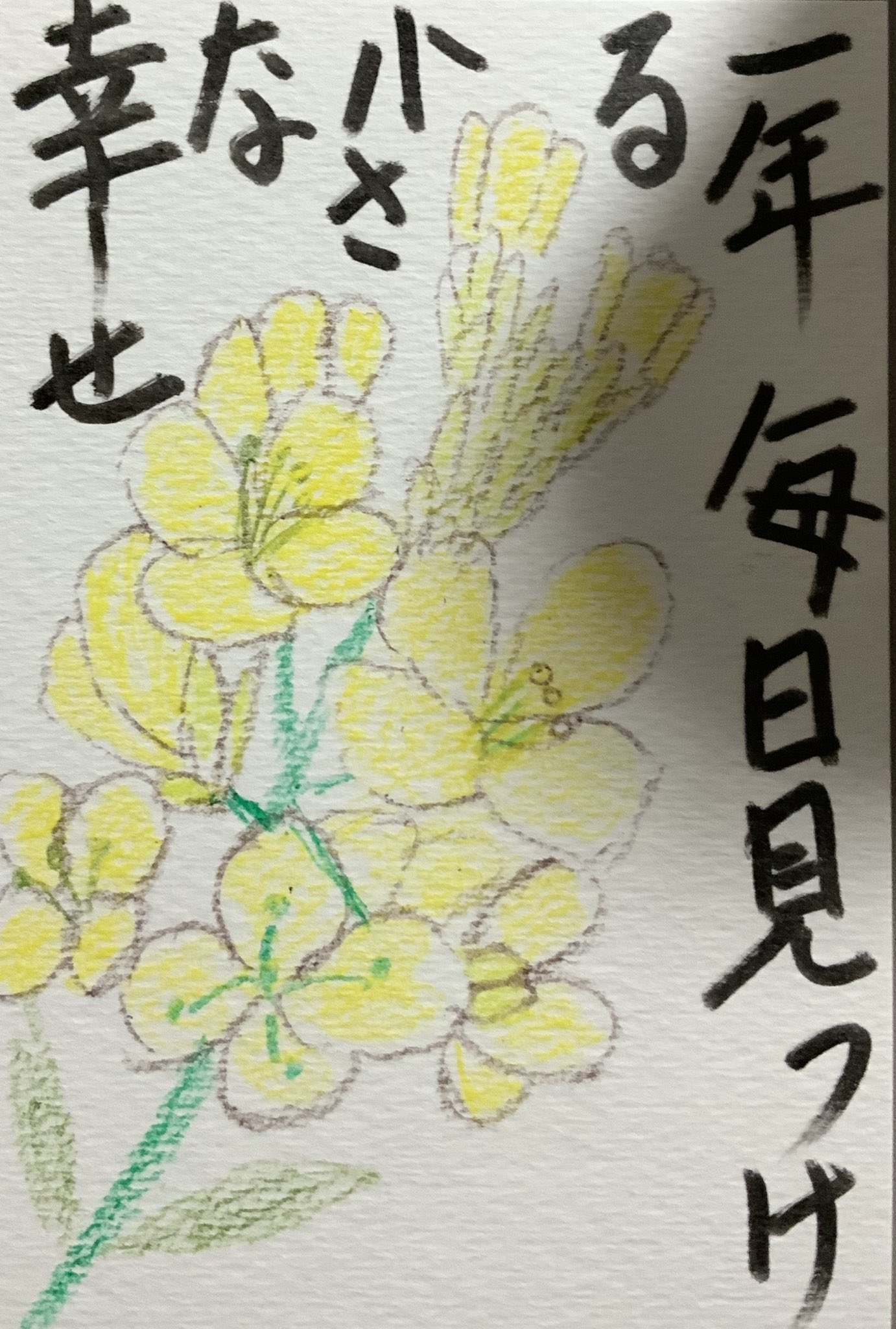 一年毎日見つける小さな幸せ 〜菜の花の絵手紙〜