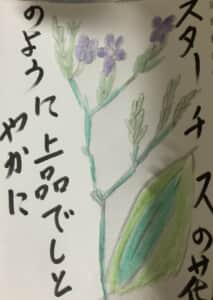 スターチスの花のように上品でしとやかに