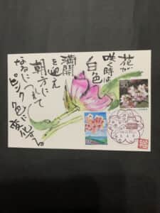 花言葉が楽しい‼️