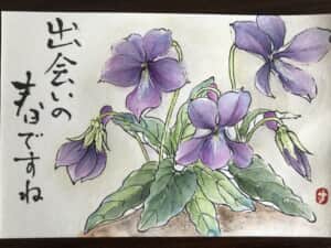 すみれ