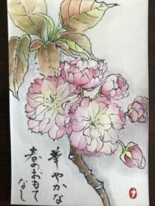 八重桜