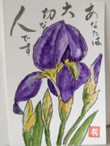 ジャーマンアイリス