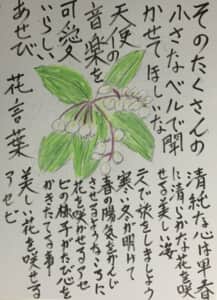 そのたくさんの小さなベルで聴かせて欲しい。 天使の音楽を可愛いらしいあせび。