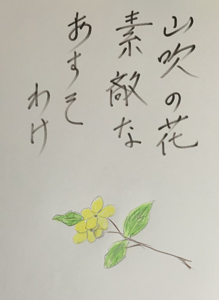 山吹の花素敵なおすそ分け