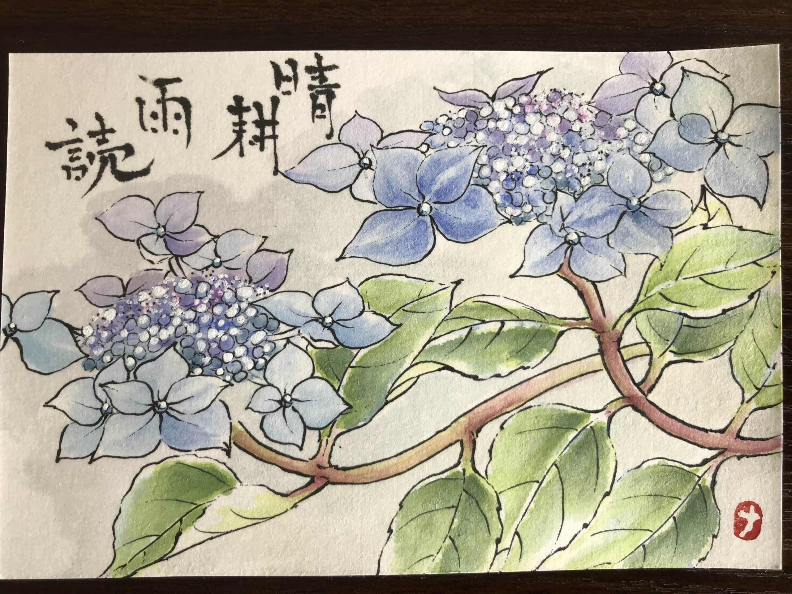 山紫陽花