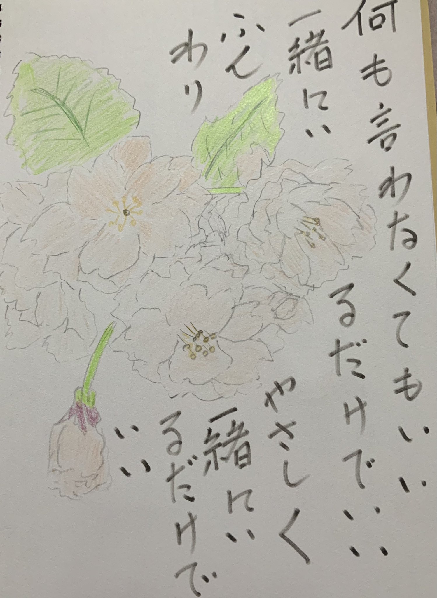 何も言わなくてもいい一緒にいるだけいい 八重桜