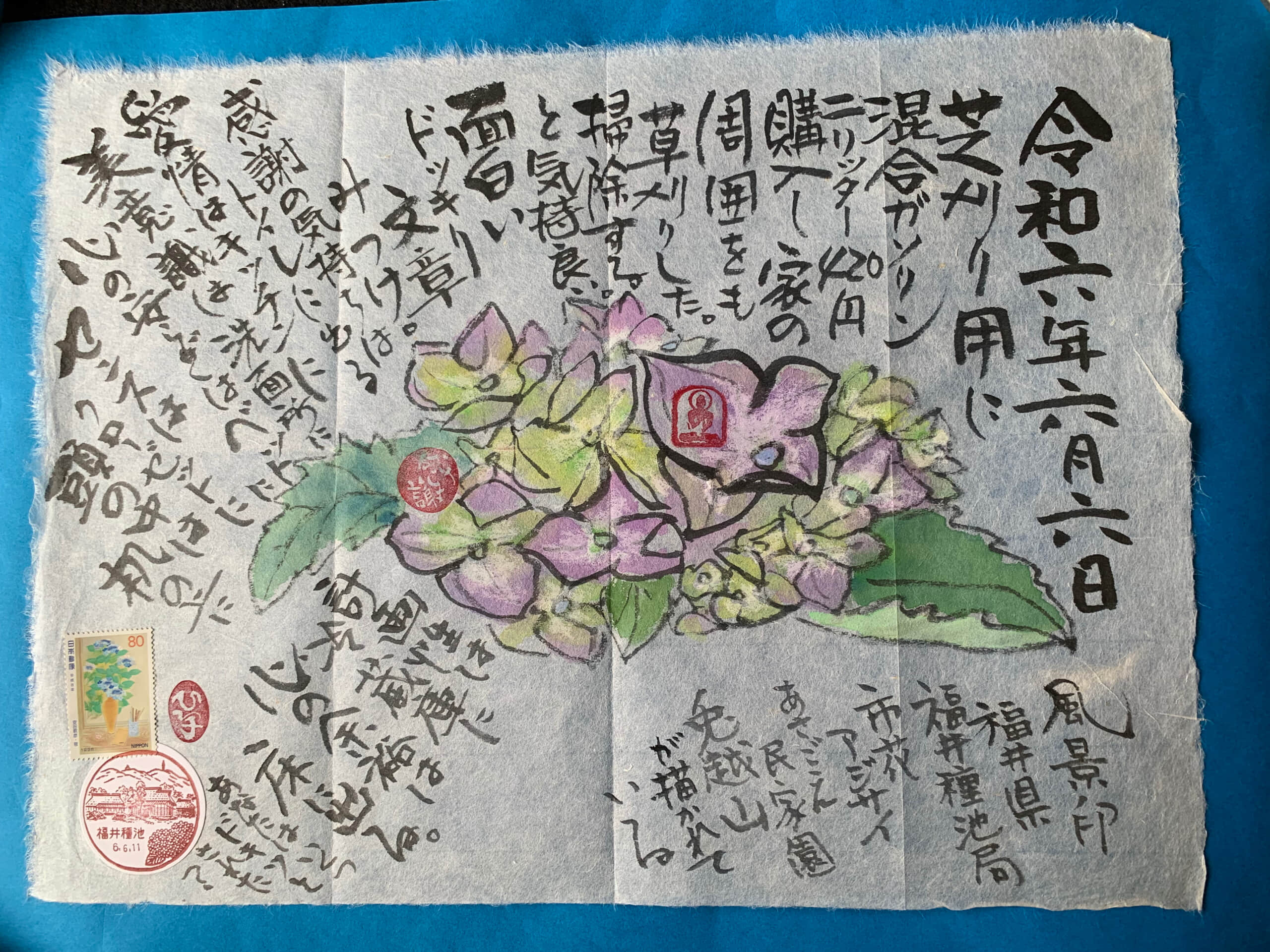 紫陽花