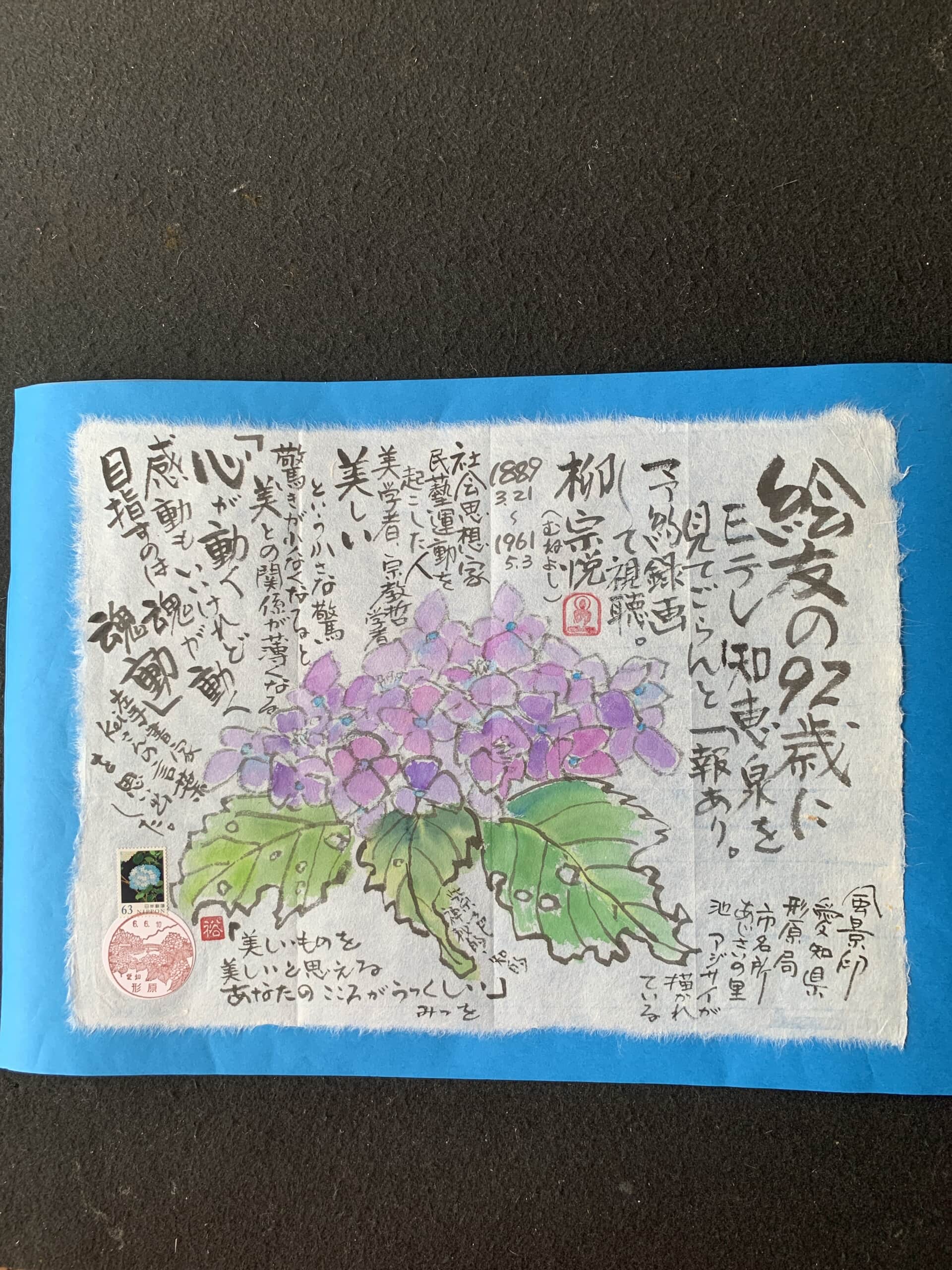 紫陽花⑥