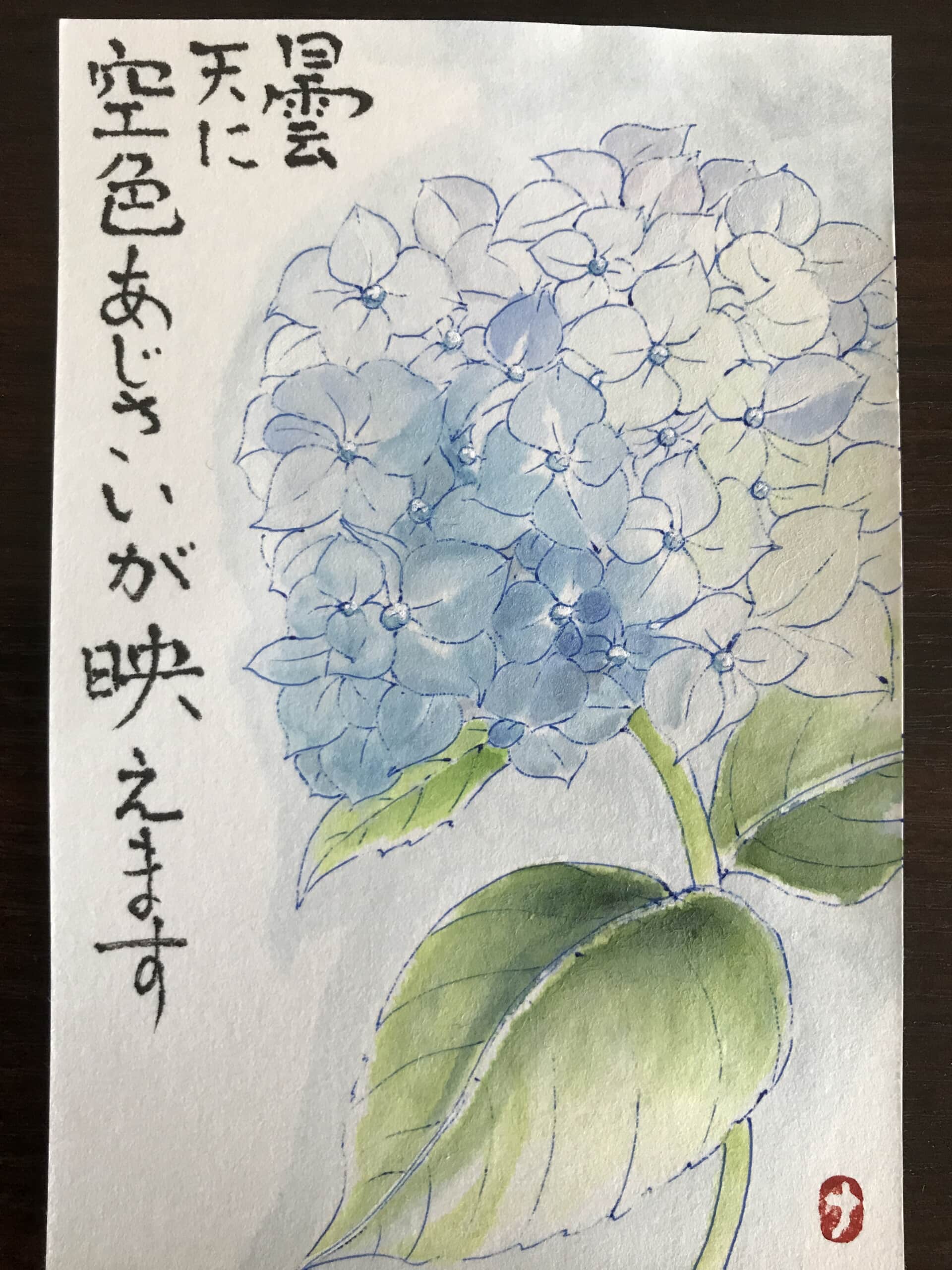 紫陽花