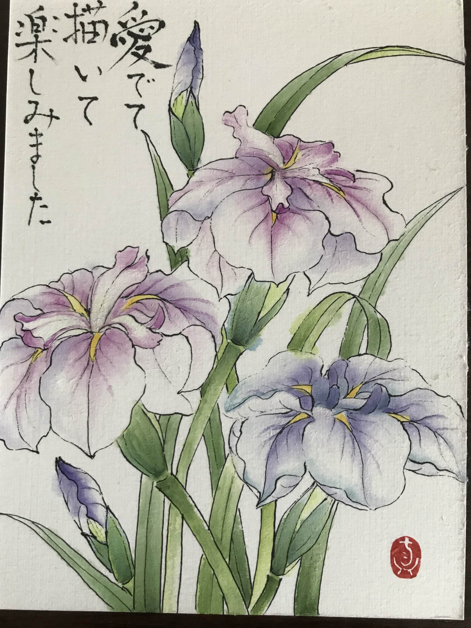 花菖蒲