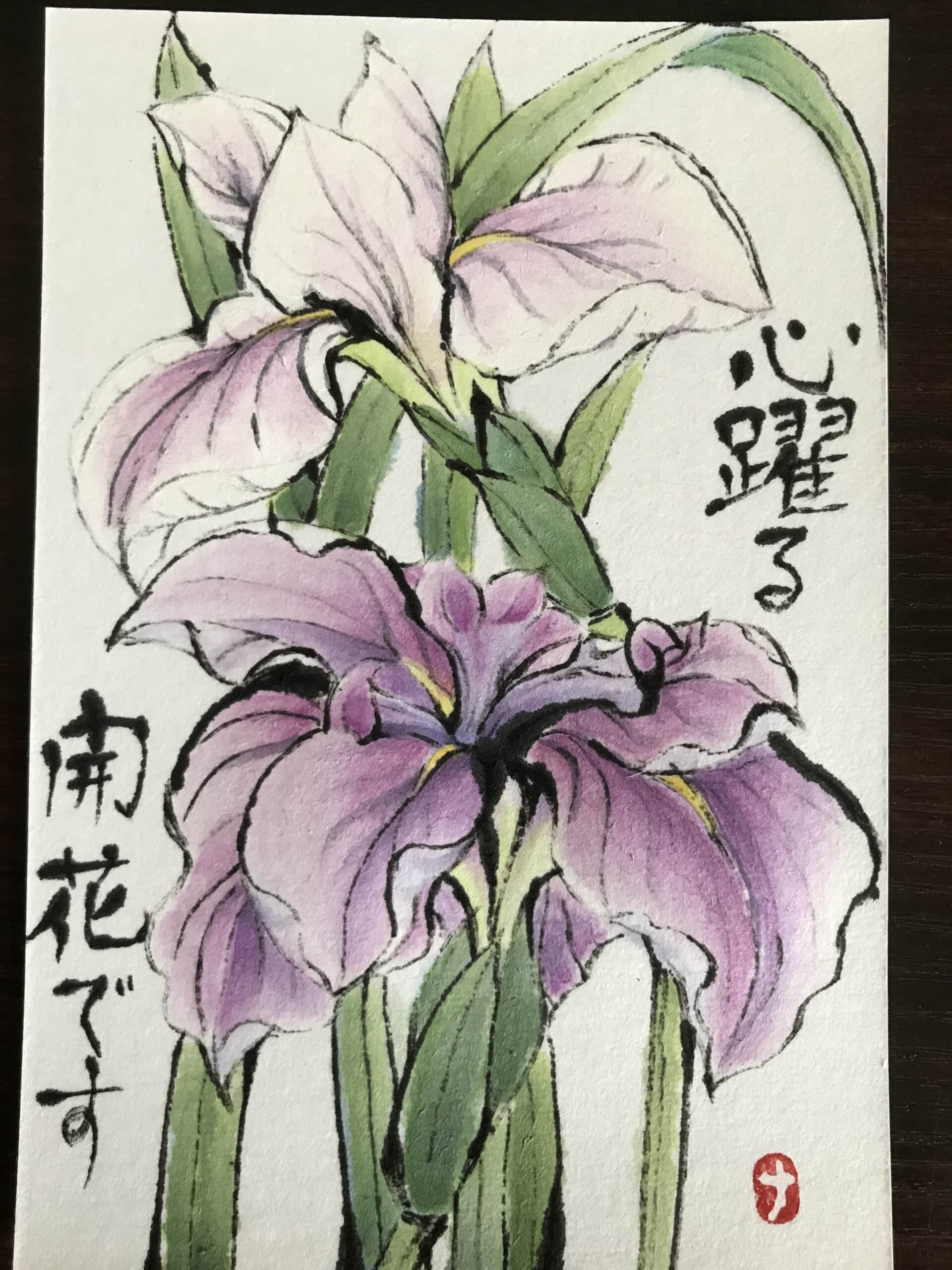 花菖蒲