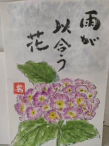 紫陽花