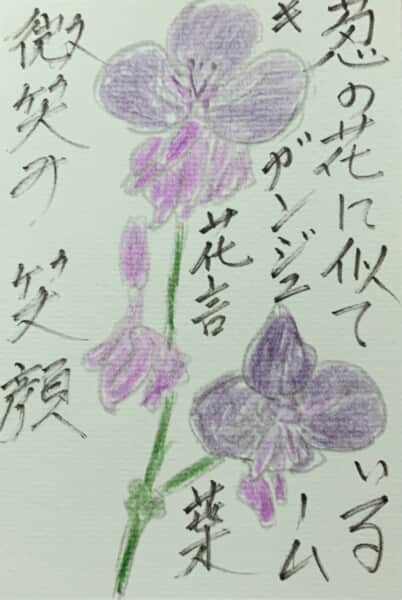 ネギの花に似てるキガンジューム