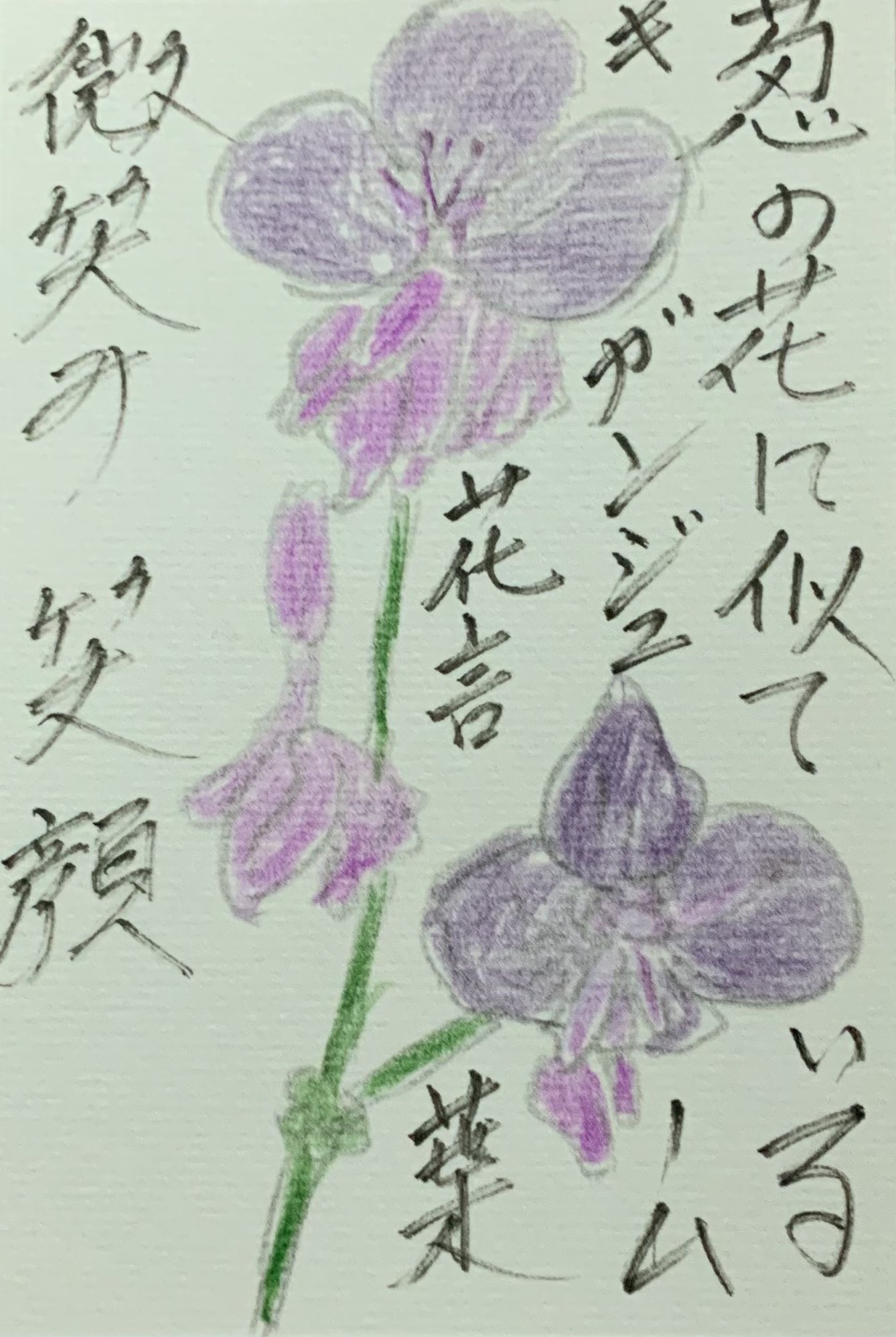 ネギの花に似てるキガンジューム