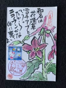 身体に悪い事はほどほどに。