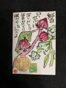 郵便サービスシッカリして❗️