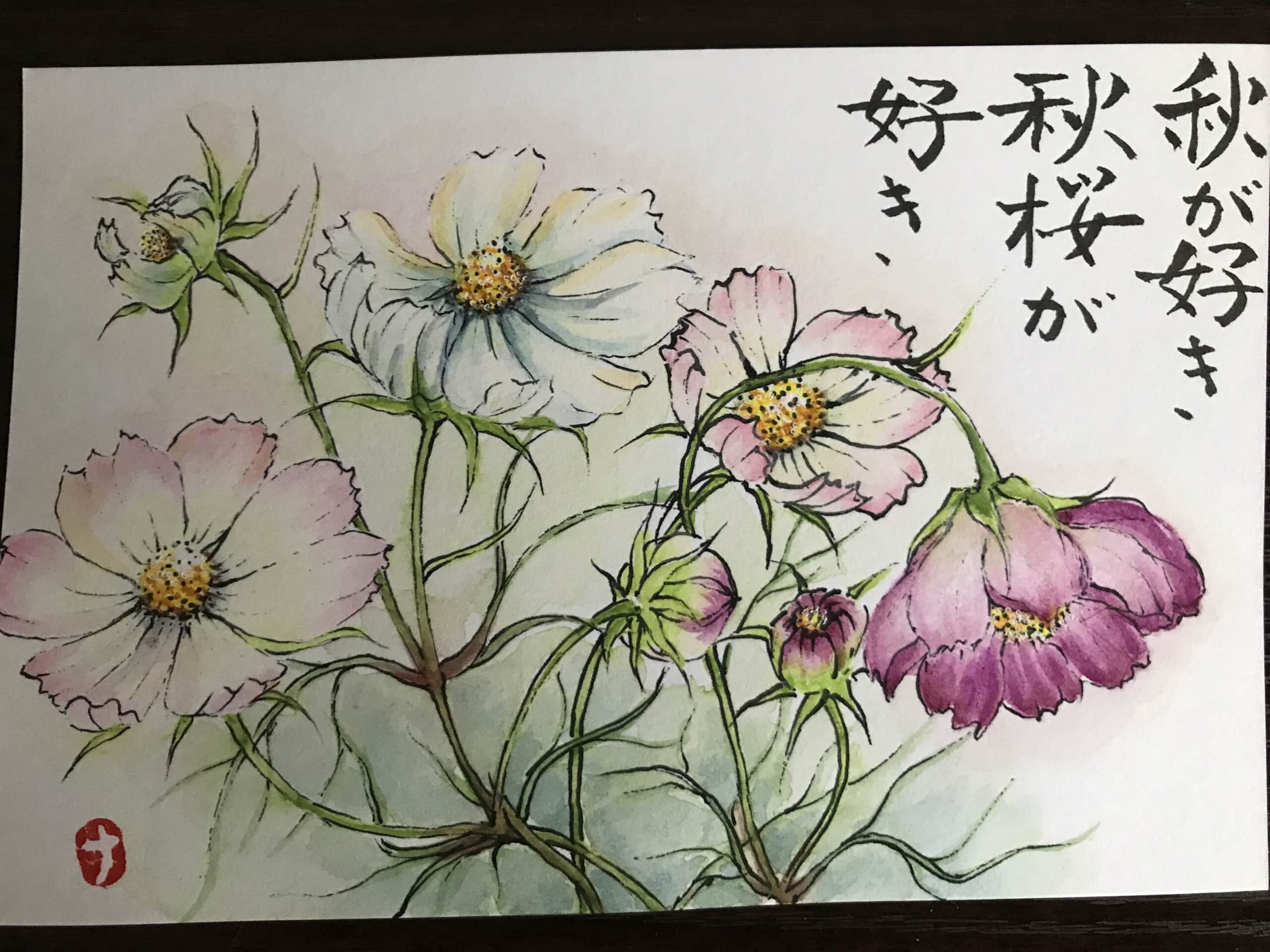 秋桜