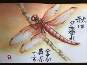 赤とんぼ