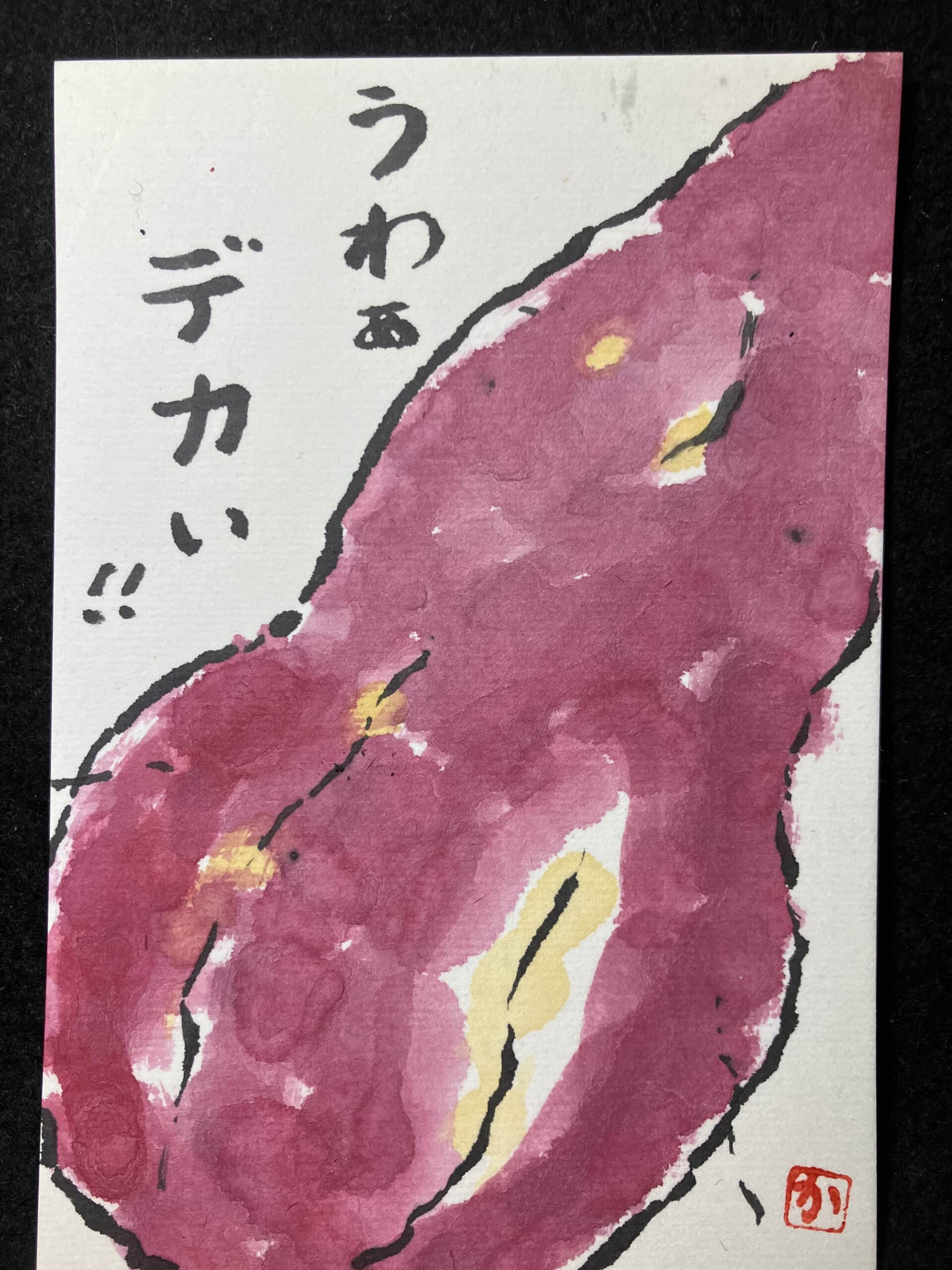 お芋が豊作です