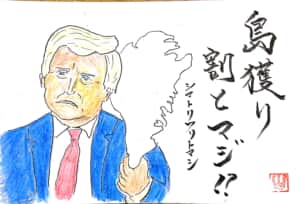 島獲り割りとマジ?！