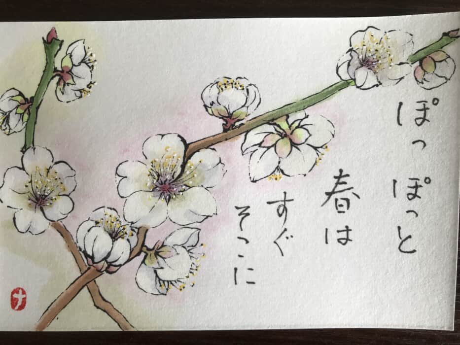 梅の花