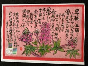 ノボリフジってあるんだねー‼️