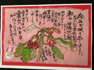 今年も咲きました。