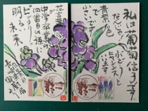 あなた読めますか？葡萄信子を。