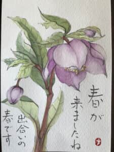 クリスマスローズ