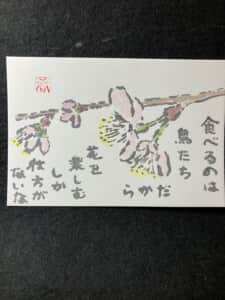 花を楽しむ
