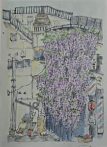 藤の花の滝流れ～*