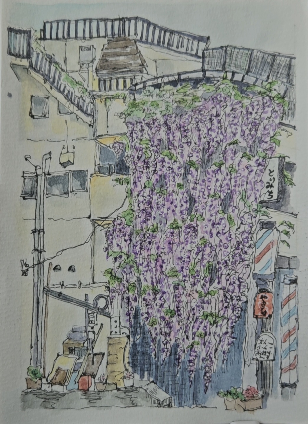 藤の花の滝流れ～*