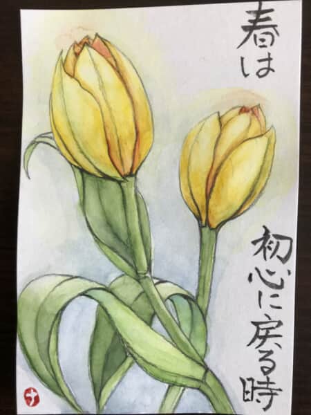チューリップ
