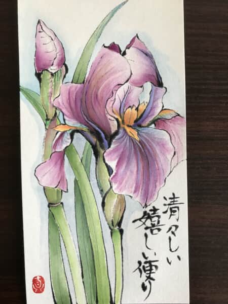 菖蒲