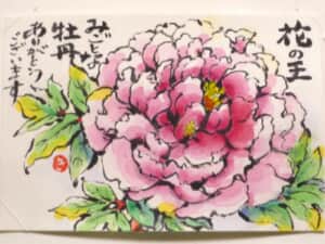 牡丹