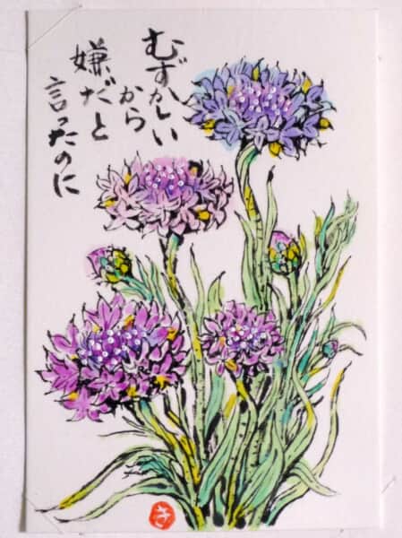 矢車菊