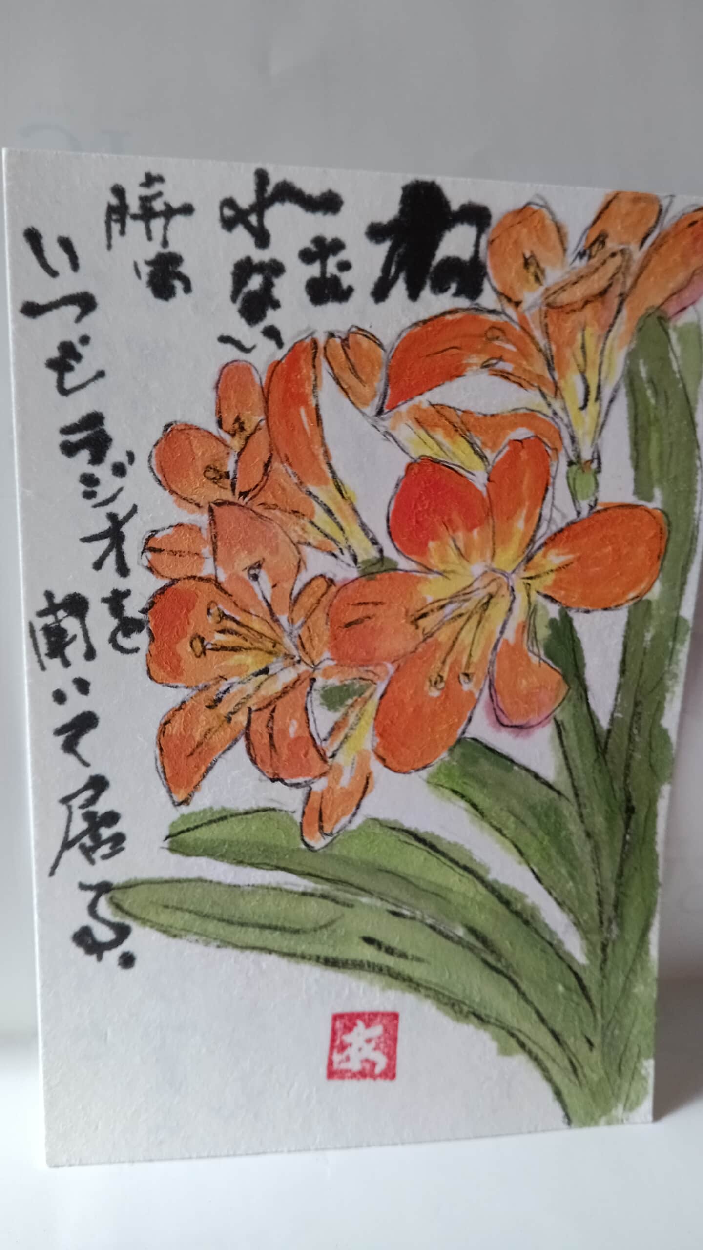 君子蘭