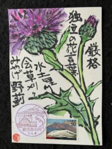 綺麗な花には棘がある