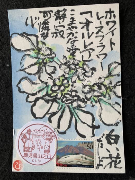 可愛い花