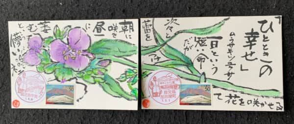 儚いネェ‼️