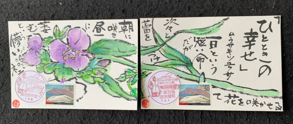 儚いネェ‼️