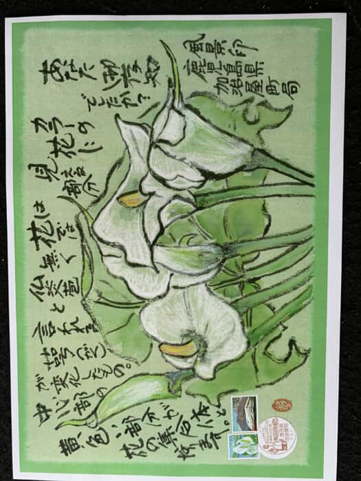雨の日でも美しい花
