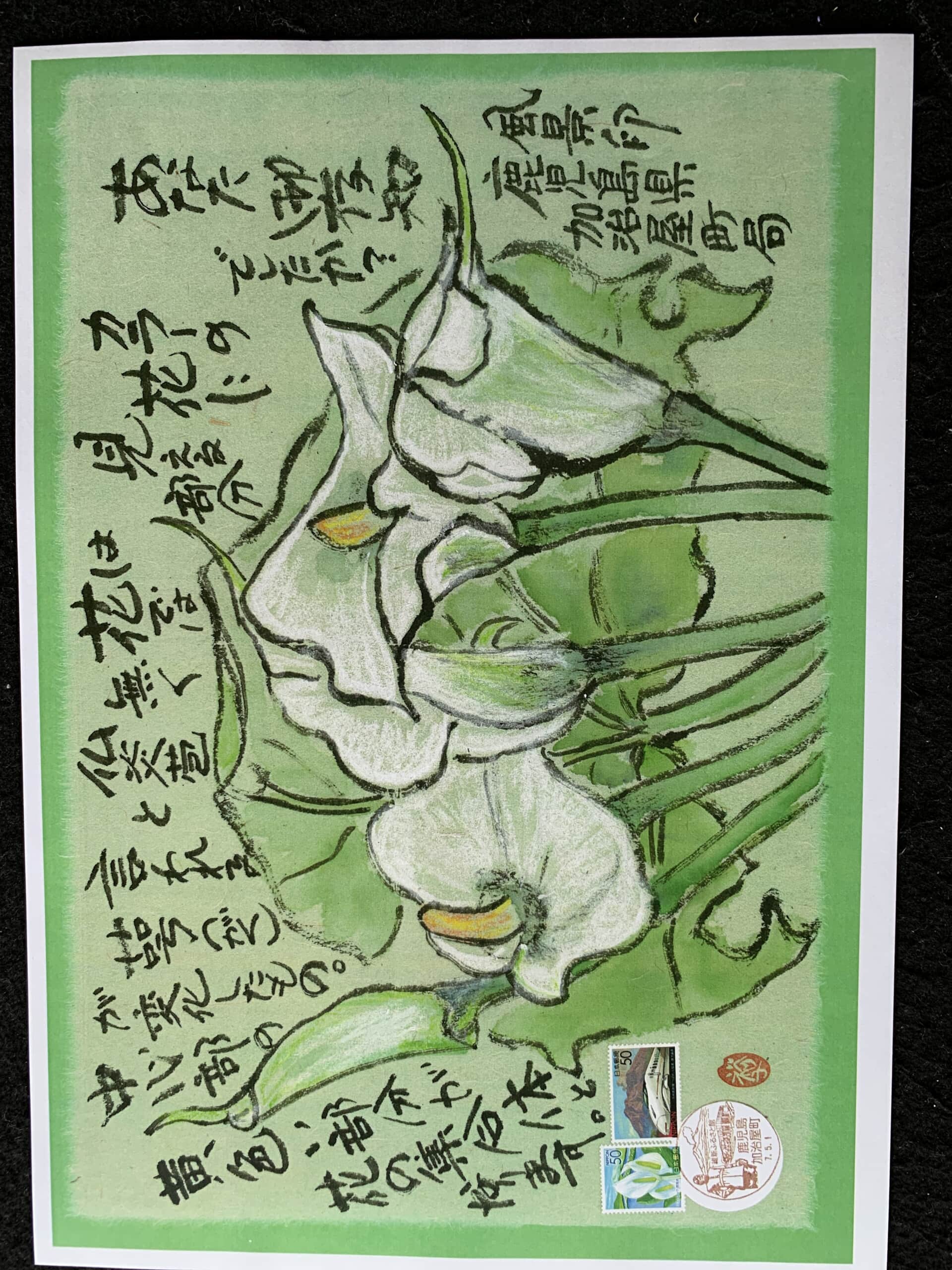 雨の日でも美しい花