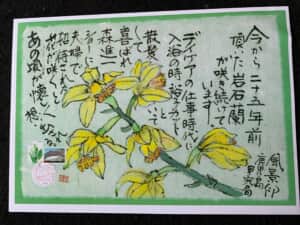 花が咲く度思い出します。