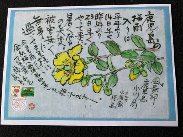 黄色って元気頂き‼️