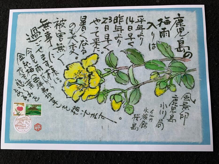 黄色って元気頂き‼️