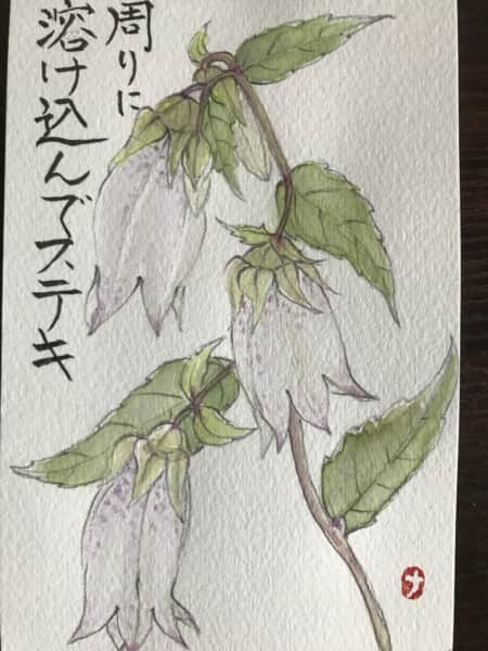 ホタルブクロ