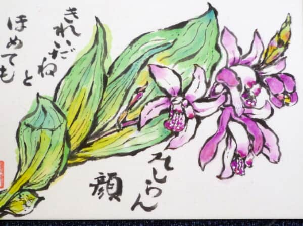 紫蘭