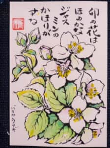 梅花空木